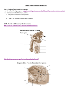 Human Reproduction Webquest