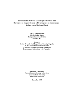 Interactions Between Grazing Herbivores and Herbaceous