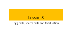 Healthy Bodies lesson 8