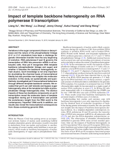 Impact of template backbone heterogeneity on RNA polymerase II