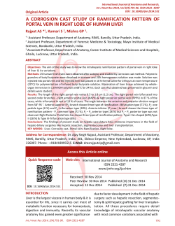 a corrosion cast study of ramification pattern of portal vein in