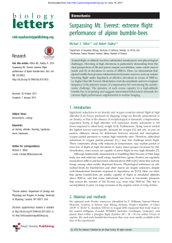 Surpassing Mt. Everest: extreme flight performance of alpine bumble