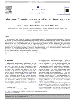Adaptation of Paramecium caudatum to variable