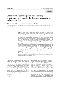 Chromosome polymorphism and karyotype evolution