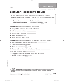 Singular Possessive Nouns
