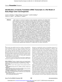 Identification of Actively Translated mRNA Transcripts in a Rat