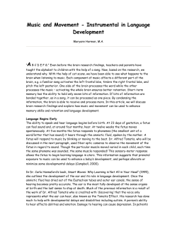 Instrumental in Language Development