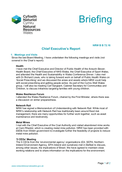 Chief Executive`s Report - Natural Resources Wales