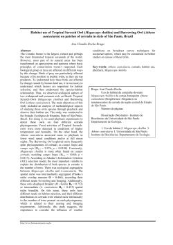 Habitat use of Tropical Screech Owl (Megascops