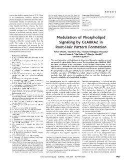 Modulation of Phospholipid Signaling by GLABRA2 in Root