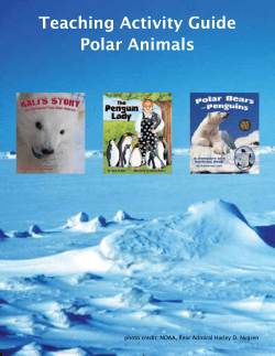 Teaching Activity Guide Polar Animals