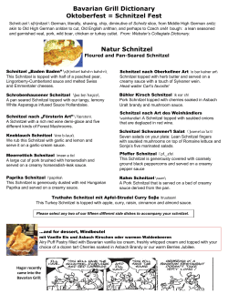 Natur Schnitzel Menu