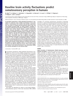 Baseline brain activity fluctuations predict somatosensory perception