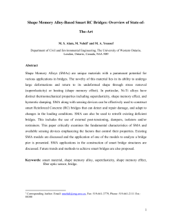 Shape Memory Alloy-Based Smart RC Bridges: Overview of State