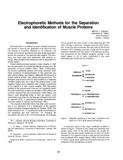 Electrophoretic Methods for the Separation and Identification of