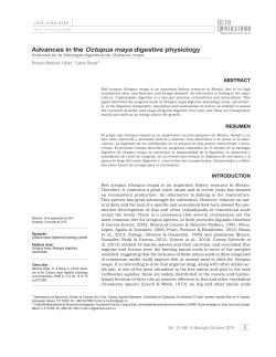 Advances in the Octopus maya digestive