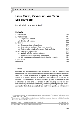 3 - Lipid Rafts, Caveolae, and Their Endocytosis