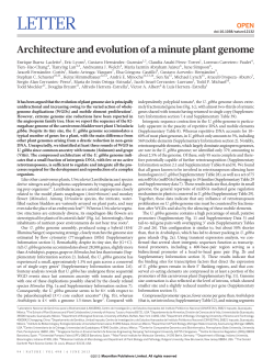 Architecture and evolution of a minute plant genome