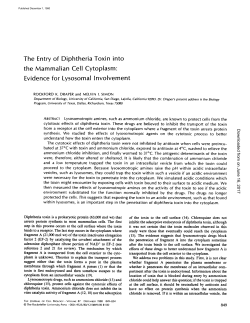 The Entry of Diphtheria Toxin into the Mammalian Cell Cytoplasm