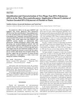 Identification and Characterization of Two Phage