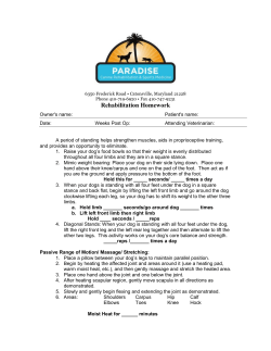 Paradise Canine Rehabilitation and Sports Medicine