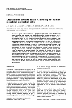 Clostridiurn difficile toxin A binding to human intestinal epithelial cells