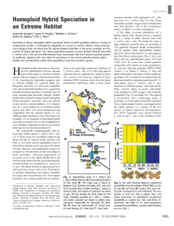 Homoploid Hybrid Speciation in an Extreme Habitat