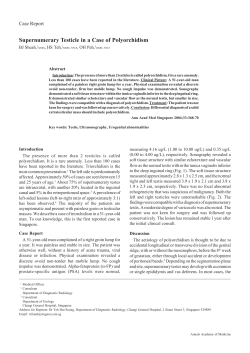 Supernumerary Testicle in a Case of Polyorchidism