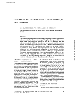 SYNTHESIS OF RAT LIVER MICROSOMAL CYTOCHROME b5 BY