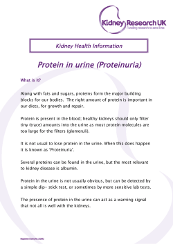 Protein in urine (Proteinuria)