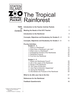 The Tropical Rainforest