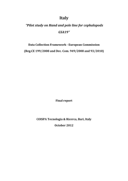 Italy “Pilot study on Hand and pole line for cephalopods GSA19”