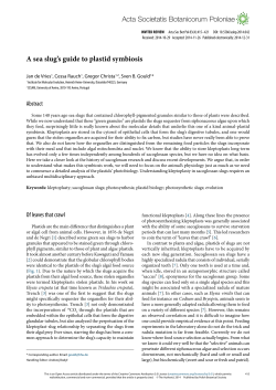 A sea slug`s guide to plastid symbiosis