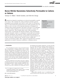 Boron Nitride Nanotubes Selectively Permeable to Cations or Anions