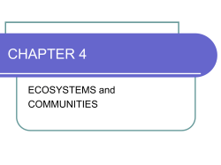 CHAPTER 4