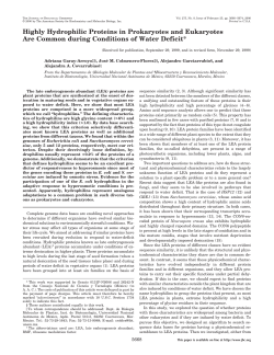 Highly Hydrophilic Proteins in Prokaryotes and Eukaryotes Are