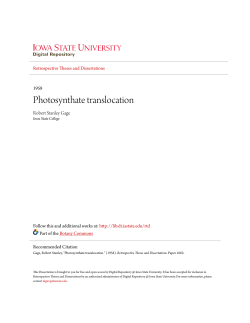 Photosynthate translocation - Iowa State University Digital Repository