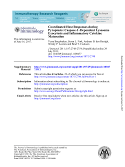 Caspase-1 Coordinated Host Responses during