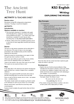 Exploring the wood - Ancient Tree Hunt