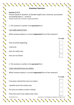 Grammar Exercises