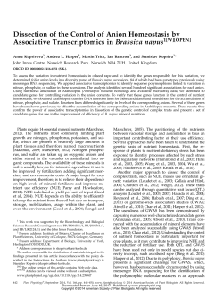 Dissection of the Control of Anion Homeostasis