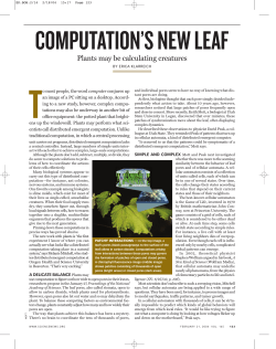 Computation`s new leaf: Plants may be calculating creatures
