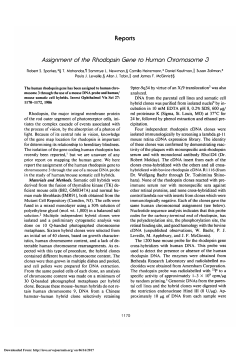 Assignment of the rhodopsin gene to human chromosome 3.