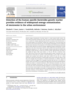 Detection of the human specific Bacteroides genetic marker