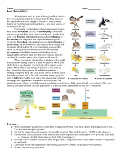 Food Chains Activity All organisms need an input of