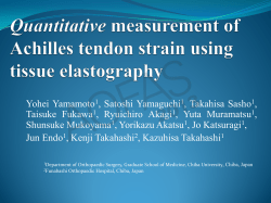 Quantitative measurement of Achilles tendon strain using tissue