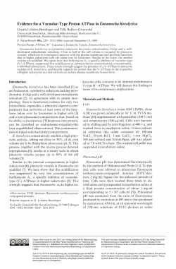 Evidence for a Vacuolar-Type Proton ATPase in Entamoeba histolytica
