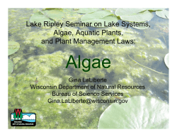 Lake Ripley Seminar on Lake Systems, Algae, Aquatic Plants, and
