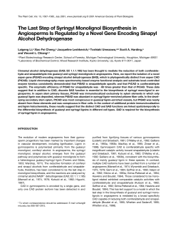 The Last Step of Syringyl Monolignol Biosynthesis in Angiosperms Is