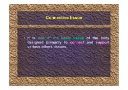 Connective tissue